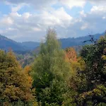 Neviasta * Paşmaklı